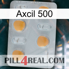 Axcil 500 24